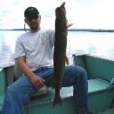 Filename=trout.jpg
Filesize=9KiB
Dimensions=145x145
Date added=Oct 22, 2014 trout.jpg